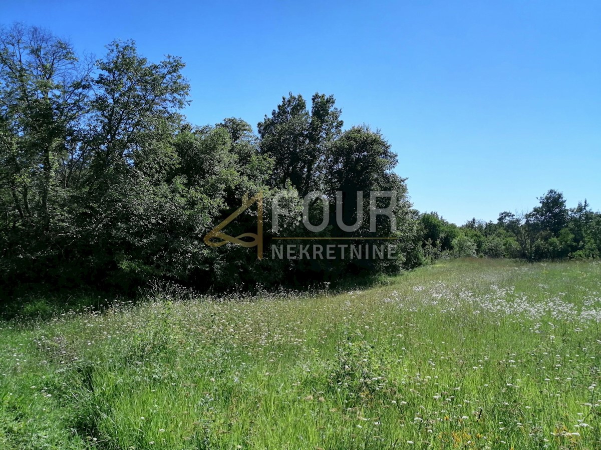 Land For sale - ISTARSKA SVETI LOVREČ