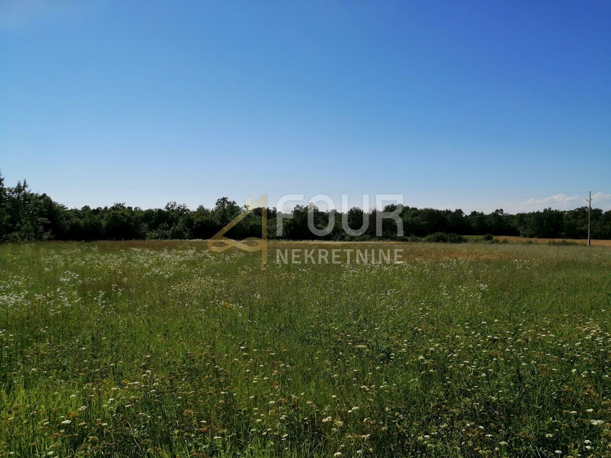 Land For sale - ISTARSKA SVETI LOVREČ