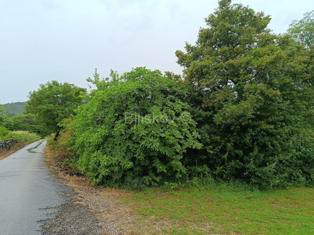 Terrain à vendre 3000 m² – Potravlje