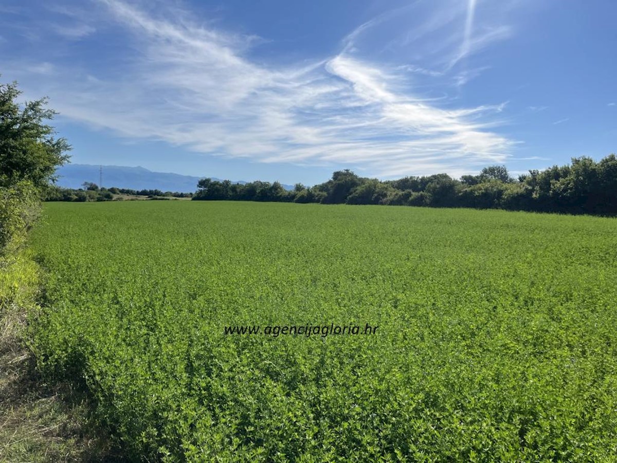 Terreno In vendita - ZADARSKA POLIČNIK