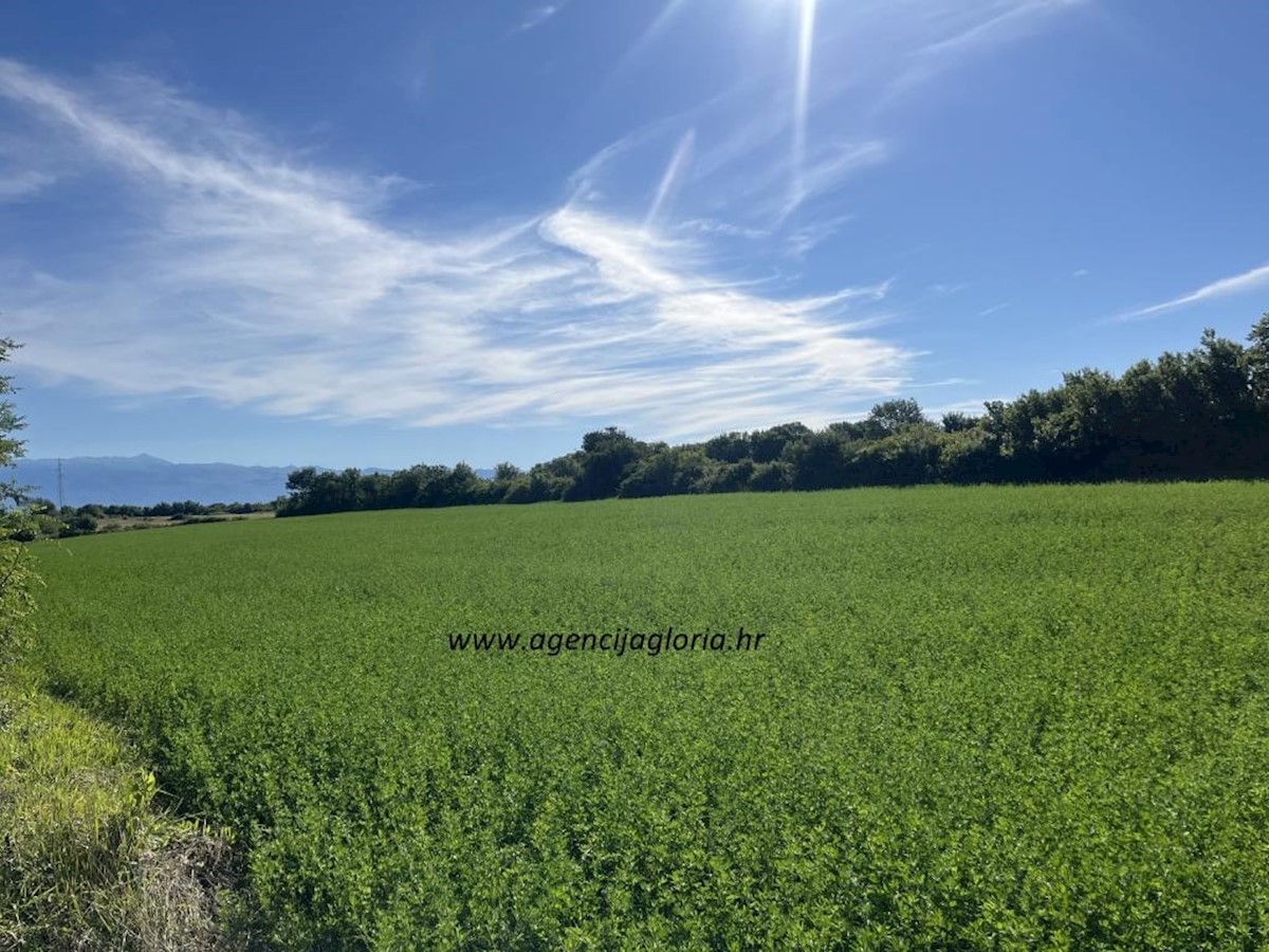 Terreno In vendita - ZADARSKA POLIČNIK