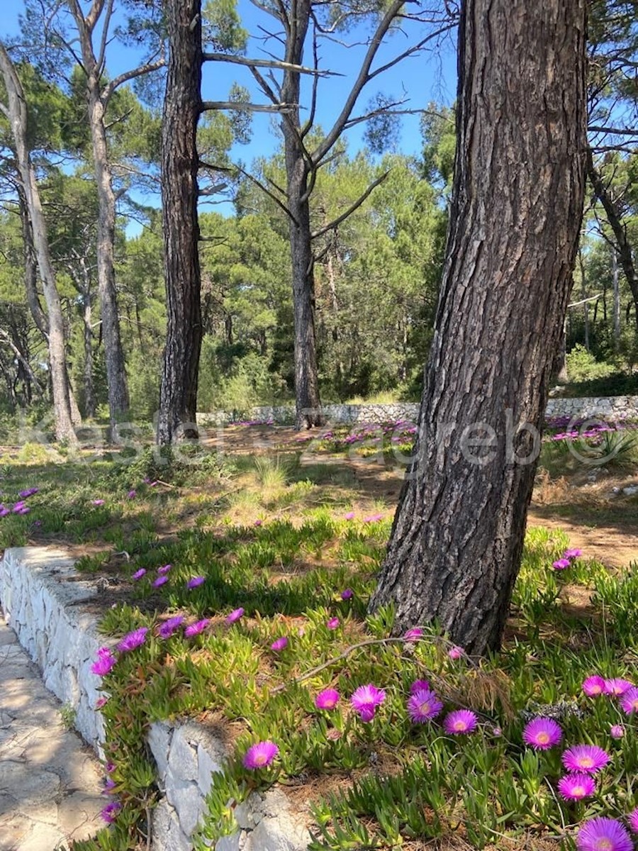 Dom Na predaj - PRIMORSKO-GORANSKA MALI LOŠINJ