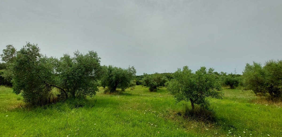 Terrain À vendre - Istarska Rovinj - foto 2/4