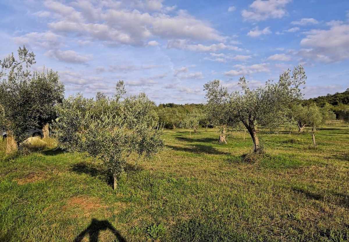 Terrain À vendre - Istarska Rovinj - foto 4/4