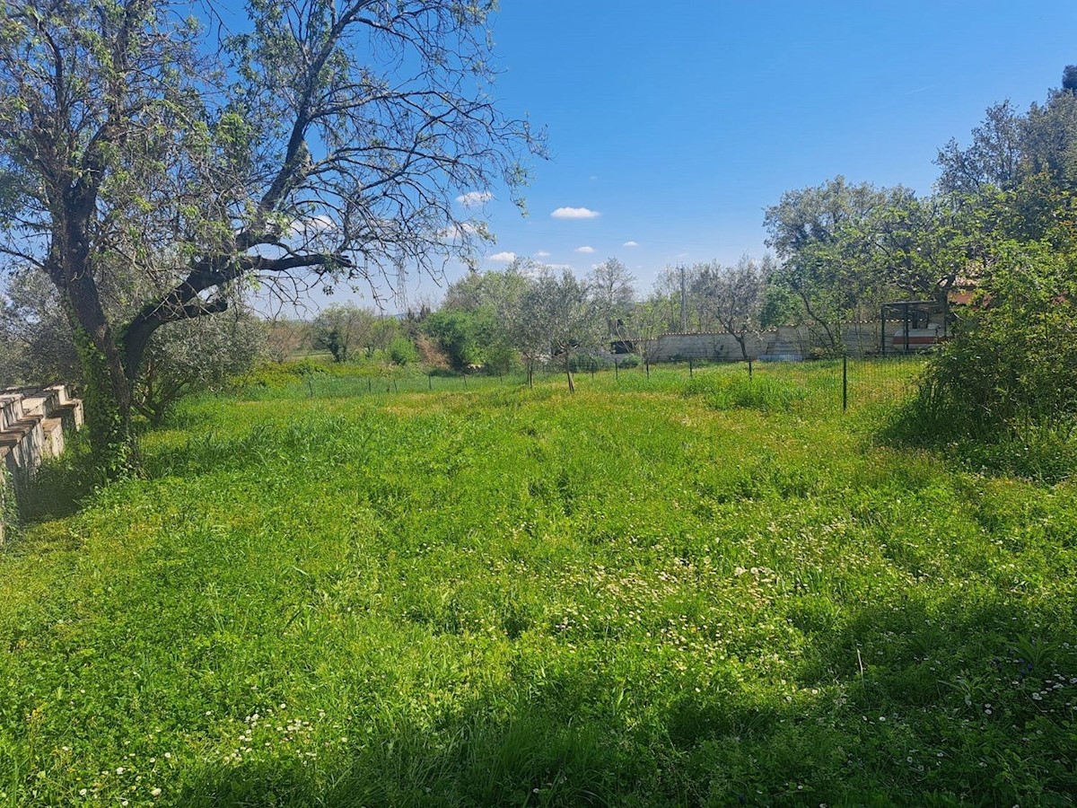 Terreno In vendita - ISTARSKA TAR-VABRIGA