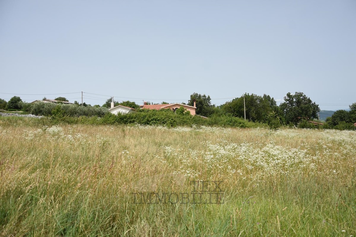 Terreno In vendita - ISTARSKA KAROJBA