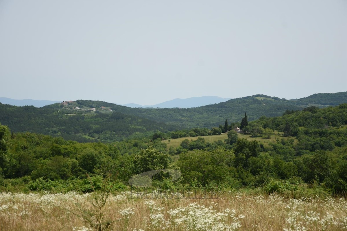 Terreno In vendita - ISTARSKA KAROJBA