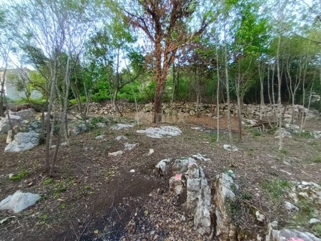 Terreno In vendita - Istarska Lupoglav - foto 2/2
