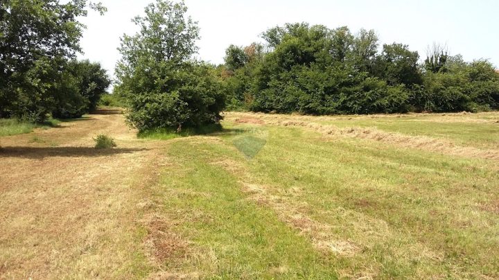 Terreno In vendita - Istarska Umag - foto 2/2
