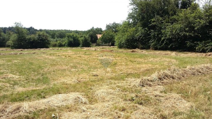 Land For sale - Istarska Umag - foto 3/3