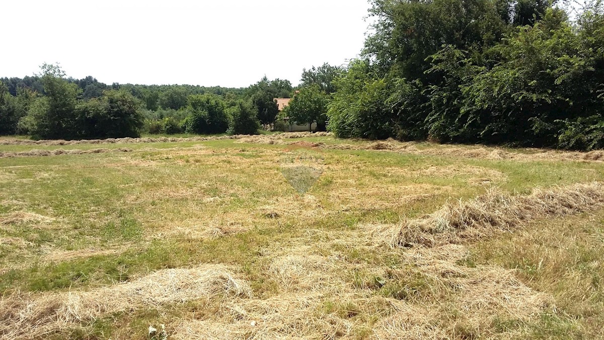 Land For sale - ISTARSKA Umag