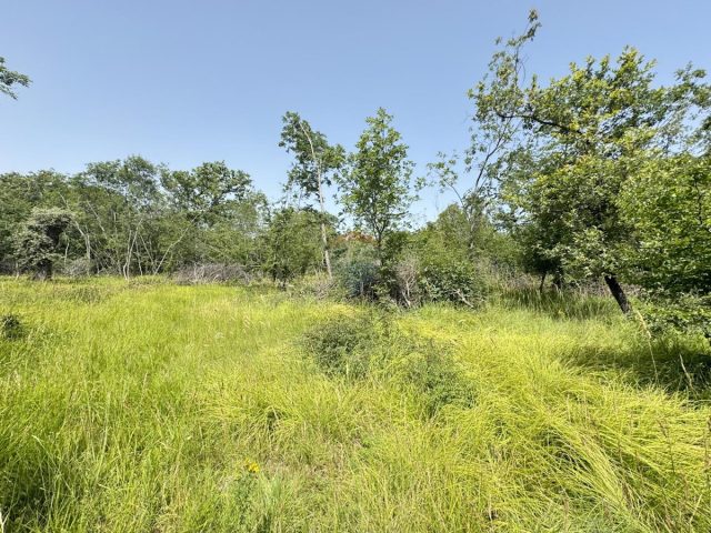 Terrain à vendre 7511 m² – Garica