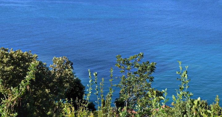 Land for sale – Dubrovnik