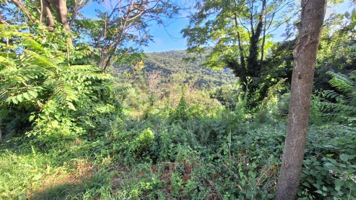 Zemljište na prodaju 607 m² – Bakarac