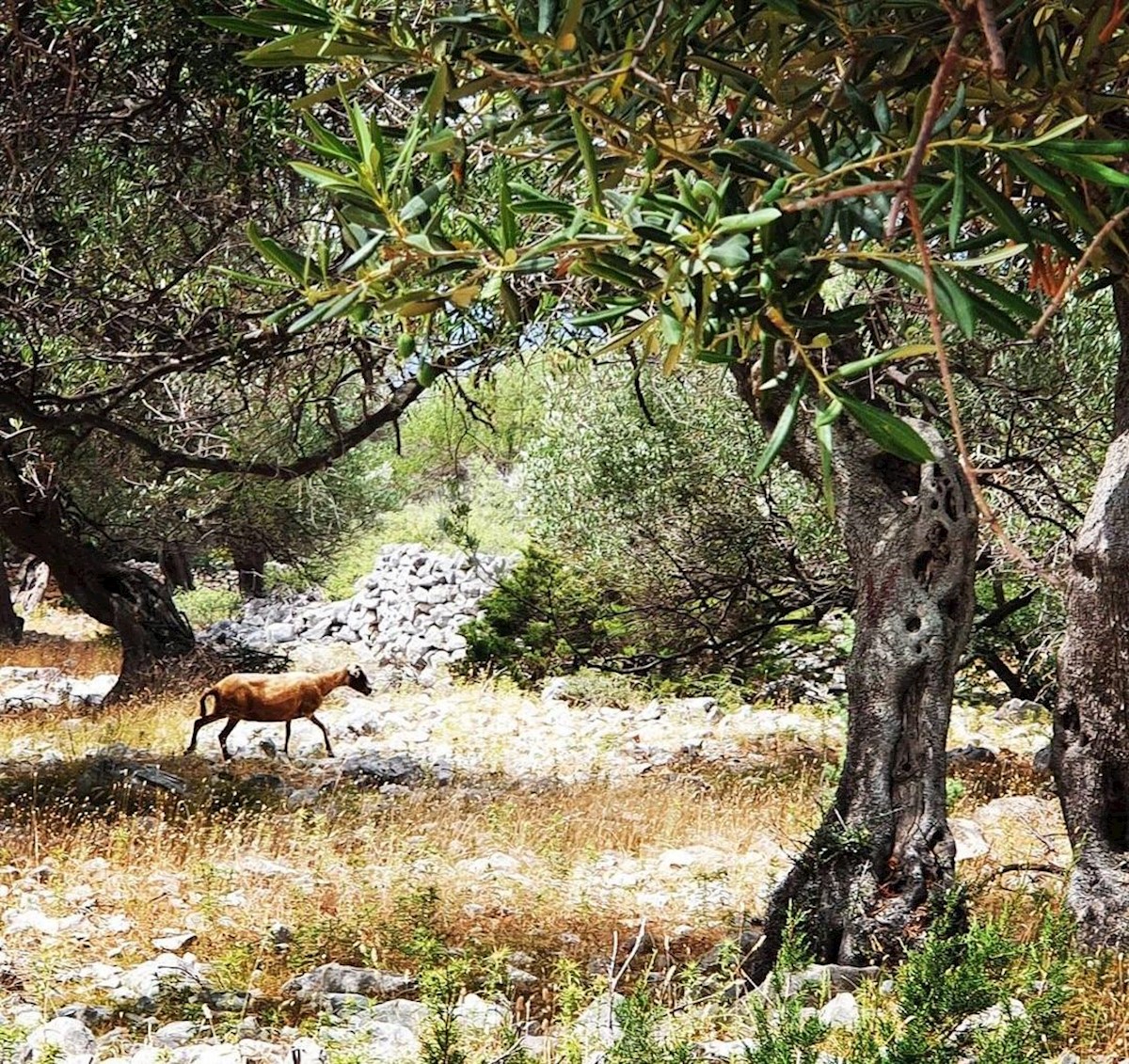 Terreno In vendita LUN