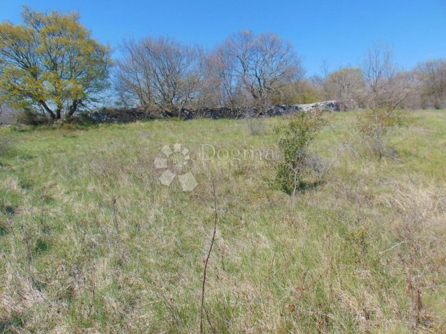 Land For sale - Istarska Kanfanar - foto 2/4