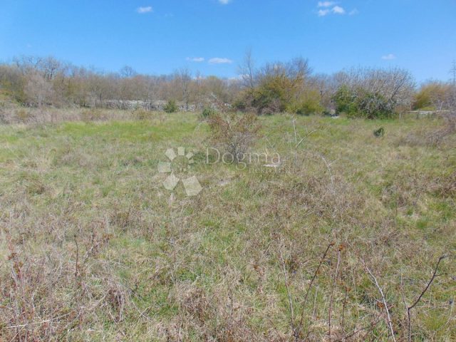Land For sale - Istarska Kanfanar - foto 3/4