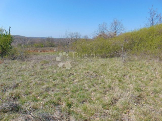 Land For sale - Istarska Kanfanar - foto 4/4