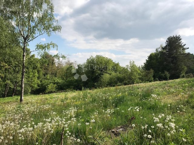Terreno in vendita 7780 m² – Jabučeta