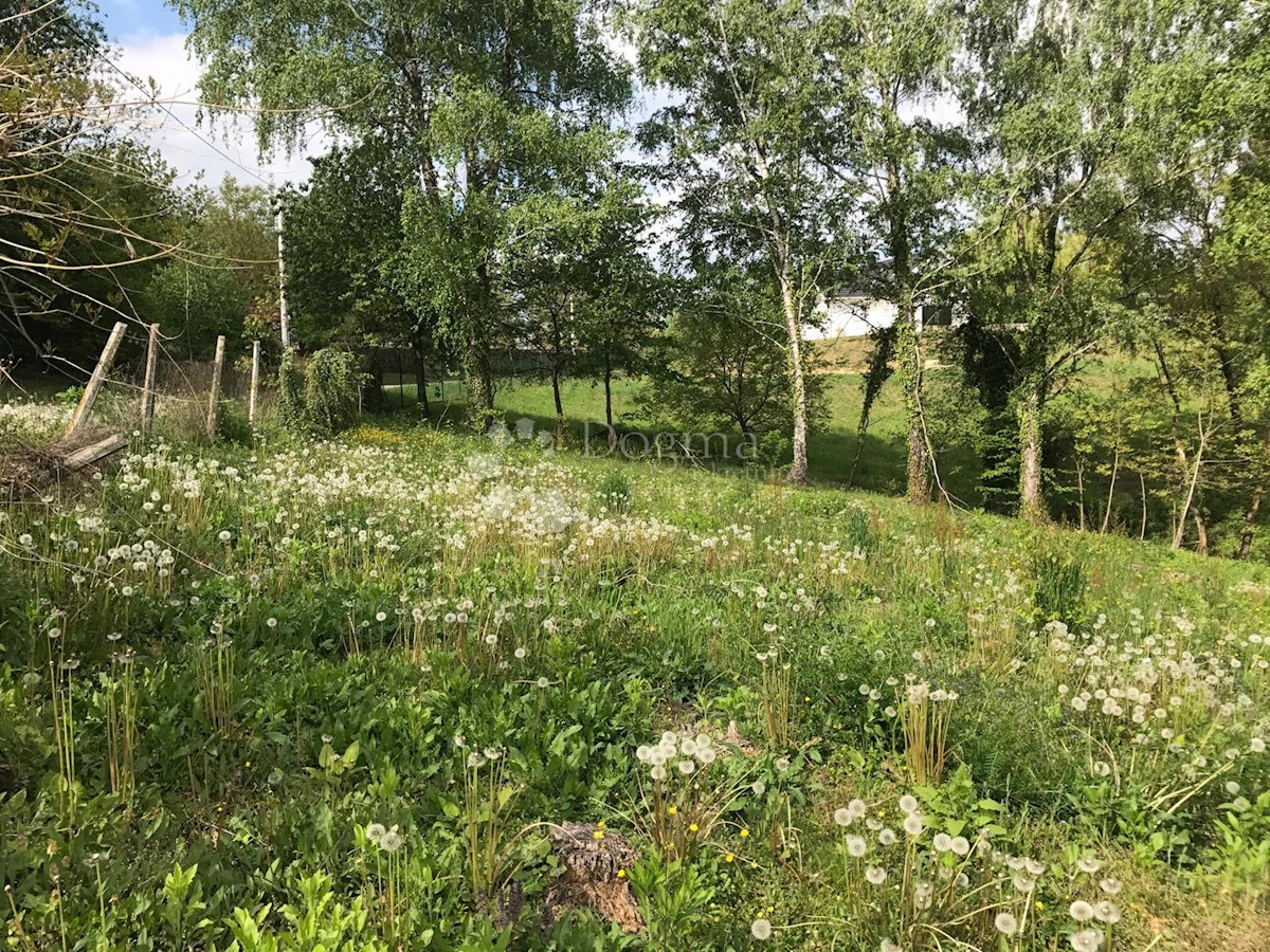 Zemljište Na prodaju - BJELOVARSKO-BILOGORSKA KAPELA