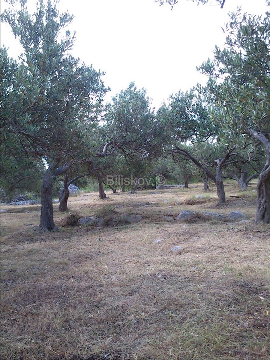 Land For sale - SPLITSKO-DALMATINSKA SUPETAR