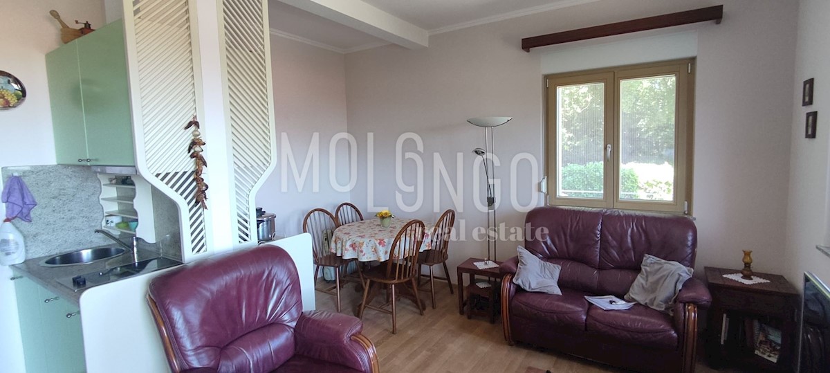 Apartment Zu verkaufen - PRIMORSKO-GORANSKA OPATIJA