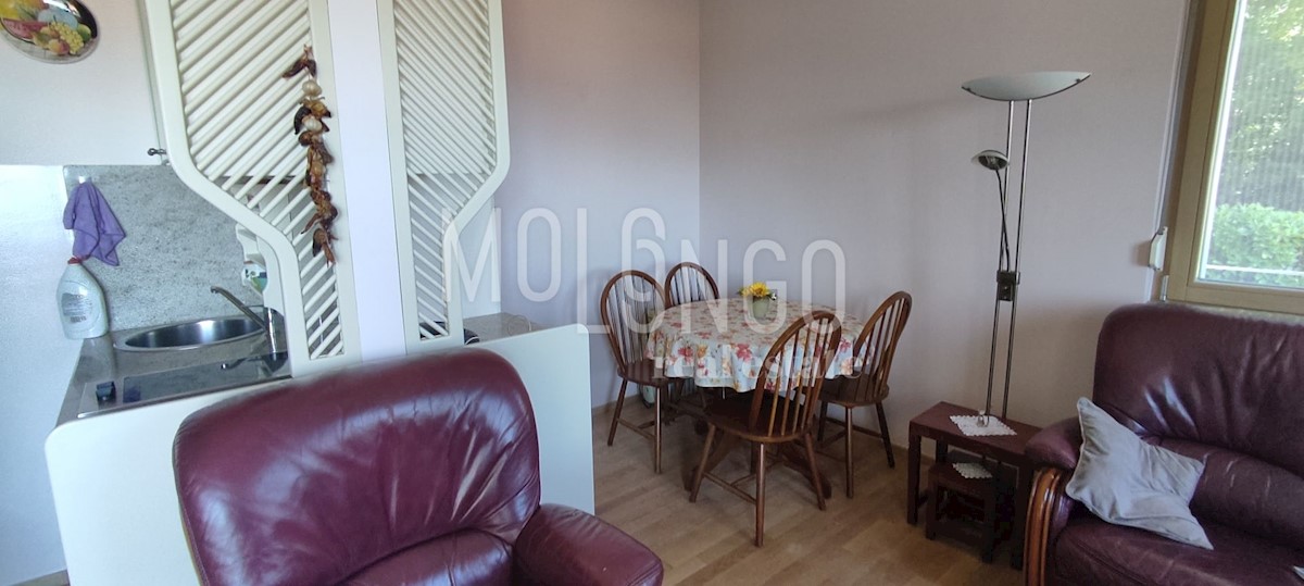 Apartment Zu verkaufen - PRIMORSKO-GORANSKA OPATIJA