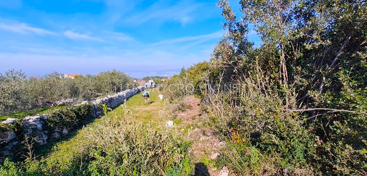 Terreno In vendita - SPLITSKO-DALMATINSKA ŠOLTA