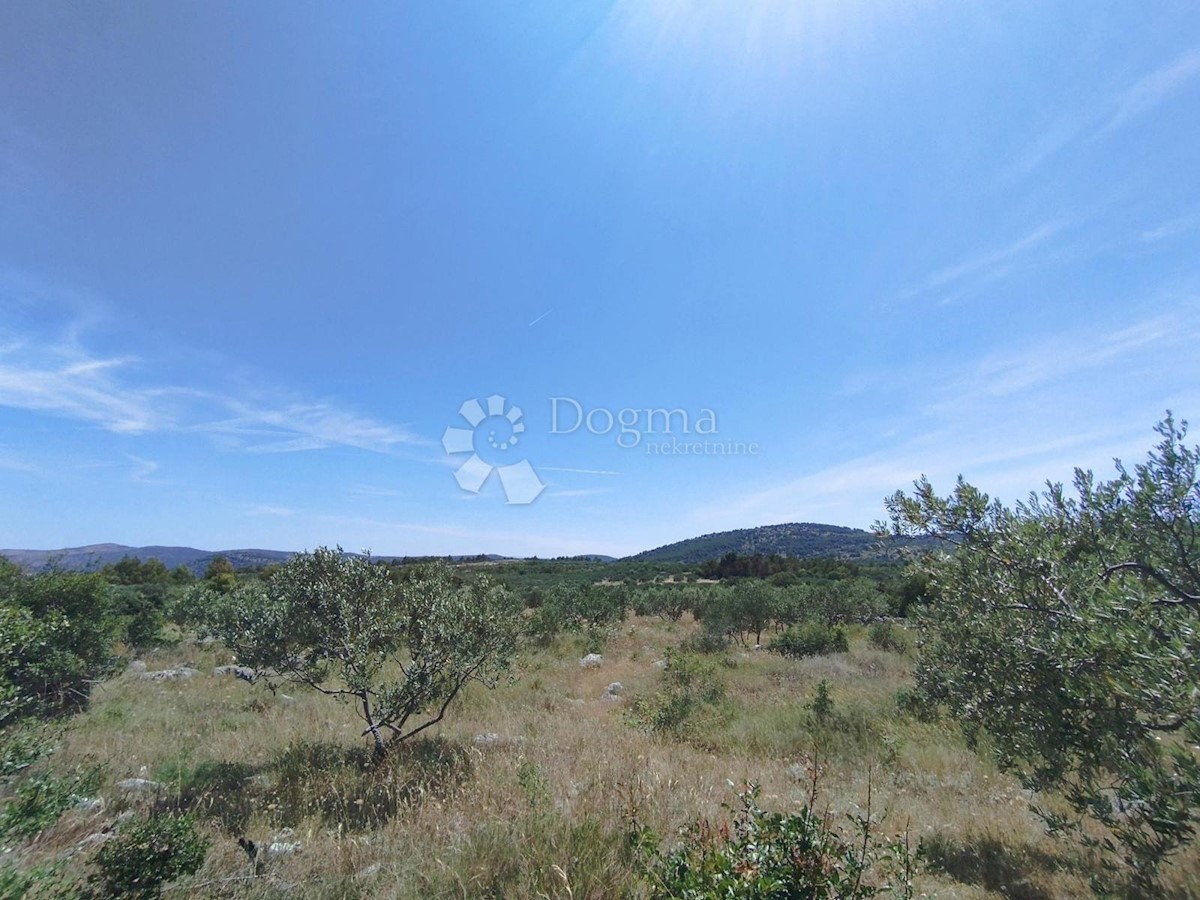 Land For sale GUSTIRNA