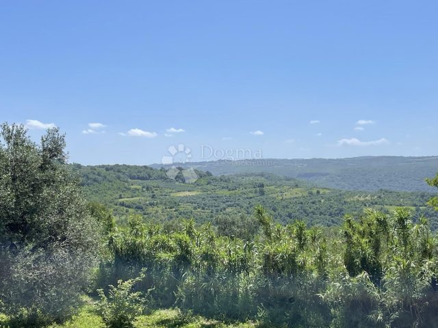 Terreno In vendita - Istarska Buje - foto 2/4