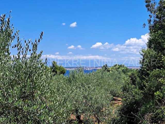Land For sale SUTOMIŠĆICA