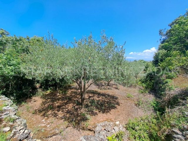Land For sale - Zadarska Ugljan - foto 2/6