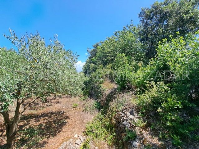 Land For sale - Zadarska Ugljan - foto 3/6