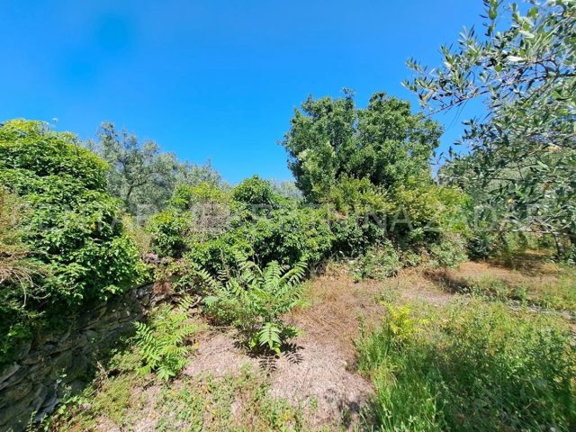 Land For sale - Zadarska Ugljan - foto 4/6