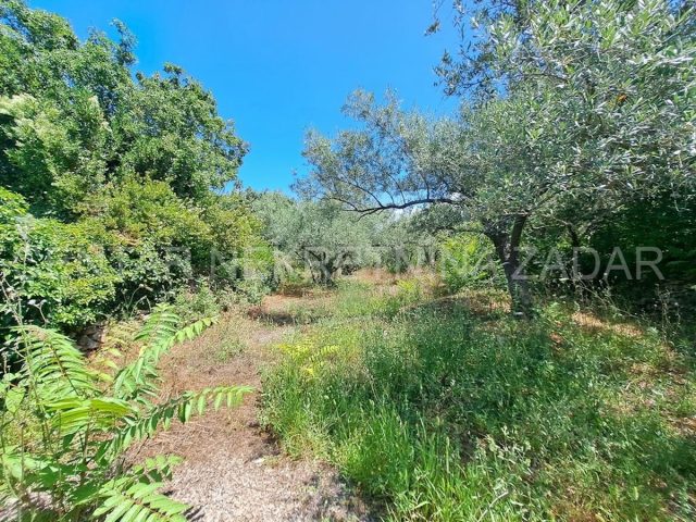 Land For sale - Zadarska Ugljan - foto 5/6