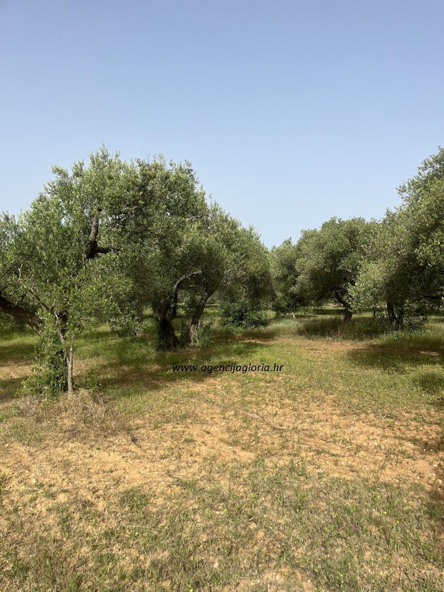 Terrain À vendre - ZADARSKA ZADAR