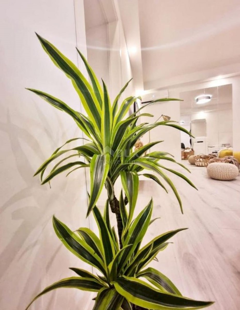 Apartment Zu verkaufen - ISTARSKA PULA