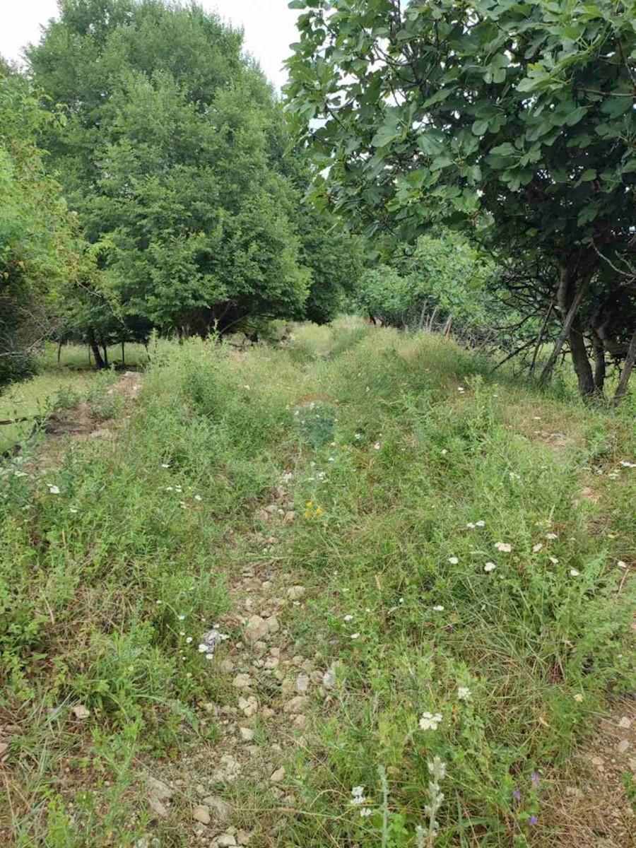 Land For sale - PRIMORSKO-GORANSKA Krk