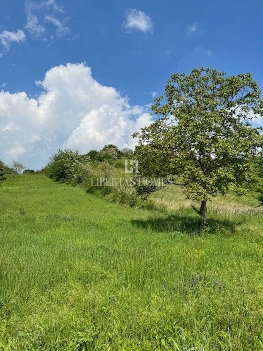 Land For sale BREZJE