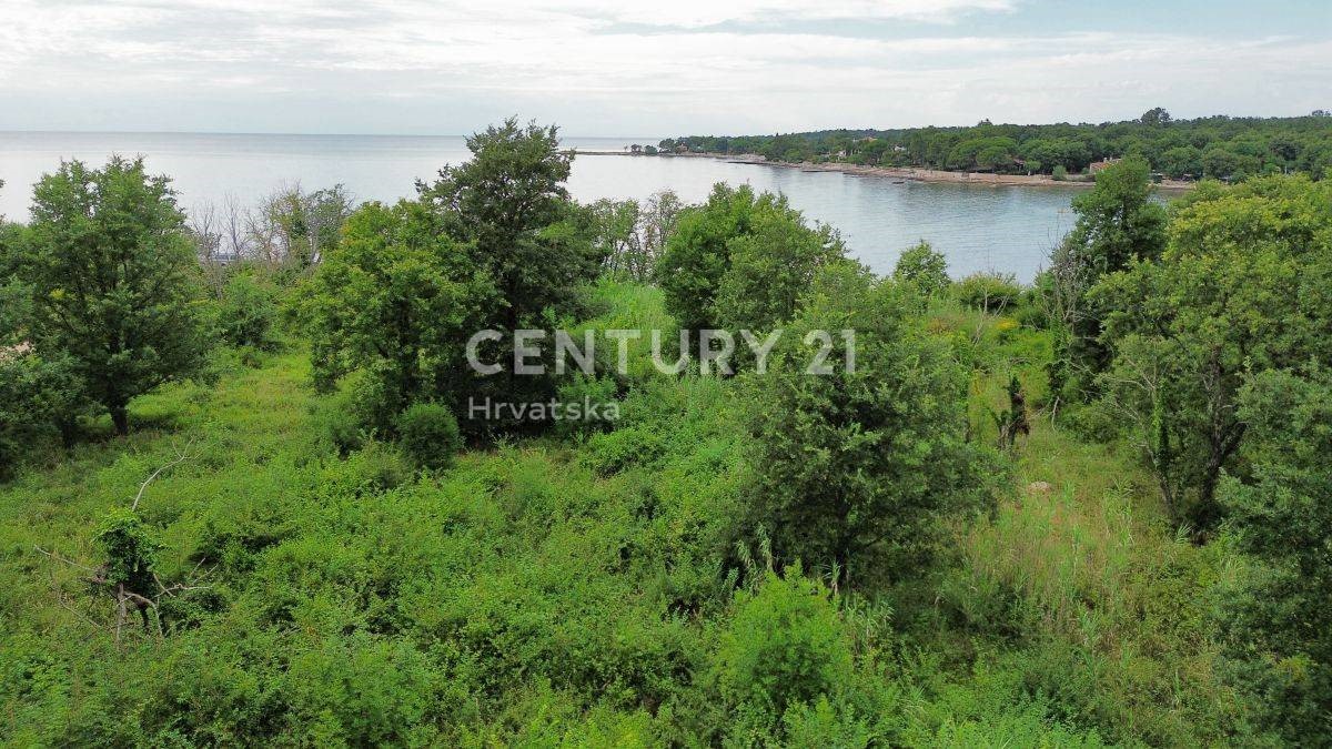 Terrain À vendre - ISTARSKA UMAG