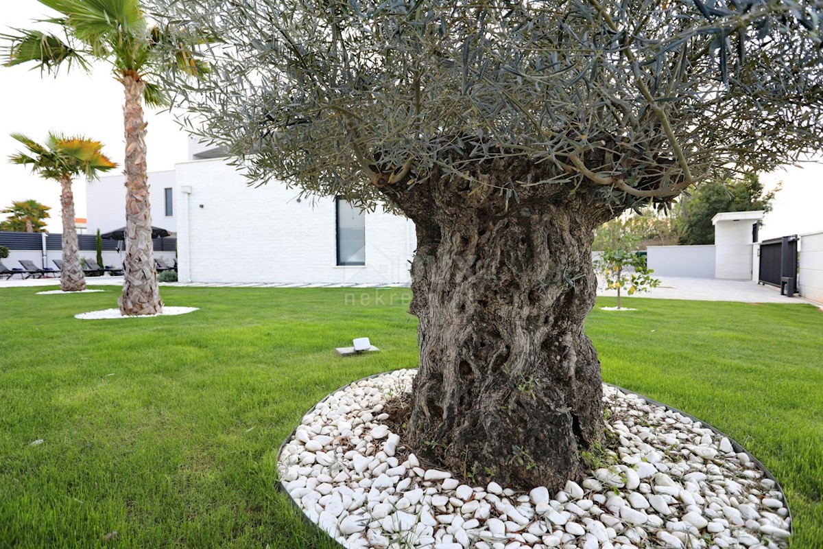 Maison À vendre - ZADARSKA NIN