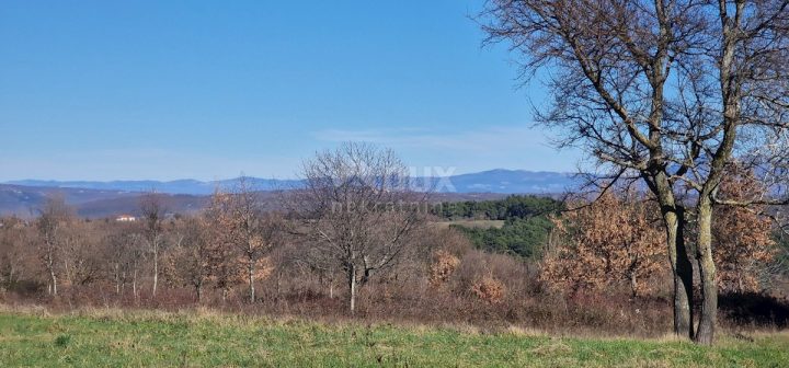 Land For sale - Istarska Barban - foto 4/12