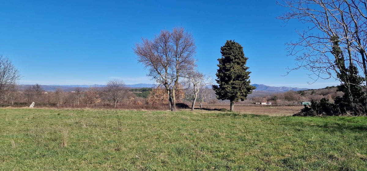 Grundstück Zu verkaufen - ISTARSKA BARBAN