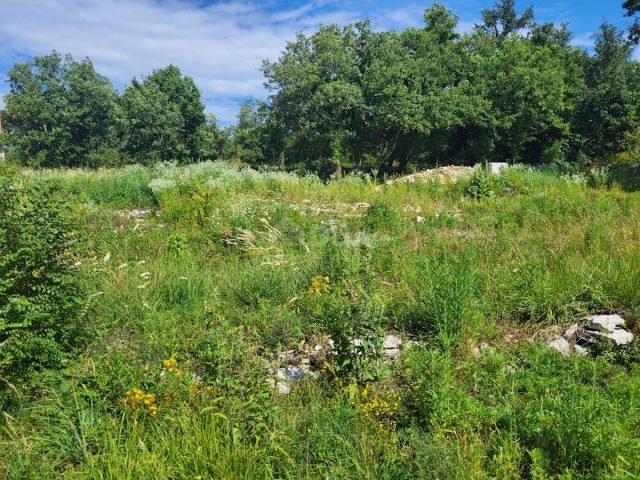 Terreno In vendita - Istarska Grožnjan - foto 2/10