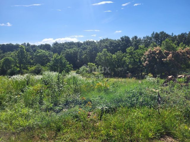 Terreno In vendita - Istarska Grožnjan - foto 5/10