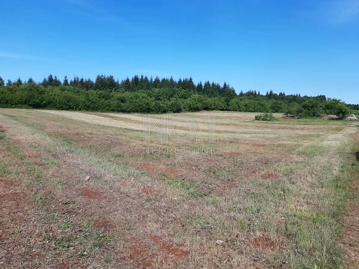 Land For sale - ISTARSKA VIŽINADA