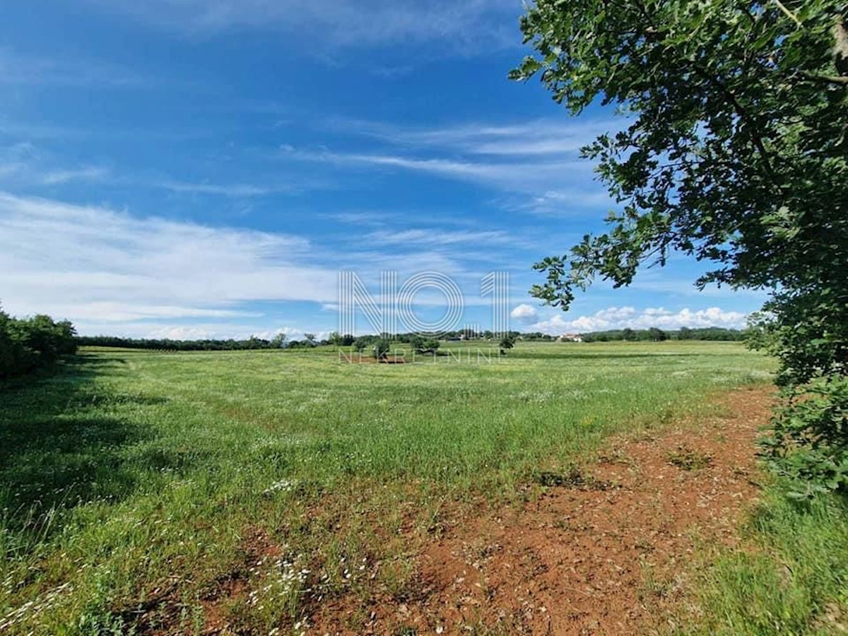 Land For sale - ISTARSKA VIŽINADA