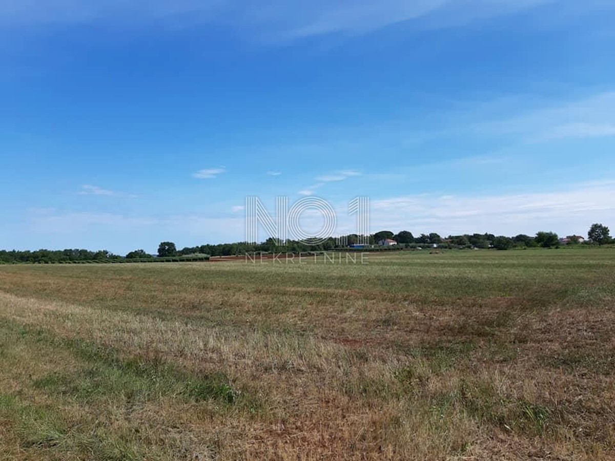 Land For sale - ISTARSKA VIŽINADA