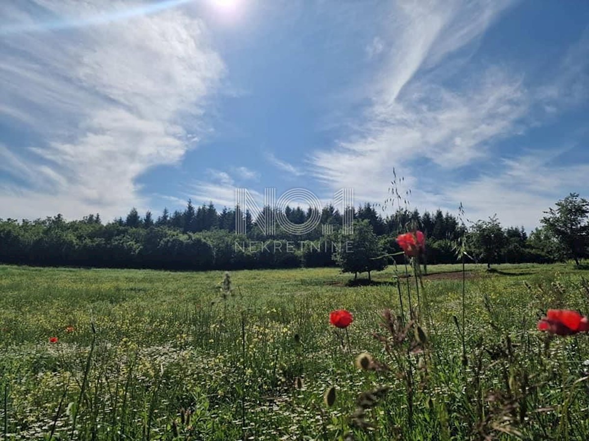 Parcela Na predaj - ISTARSKA VIŽINADA