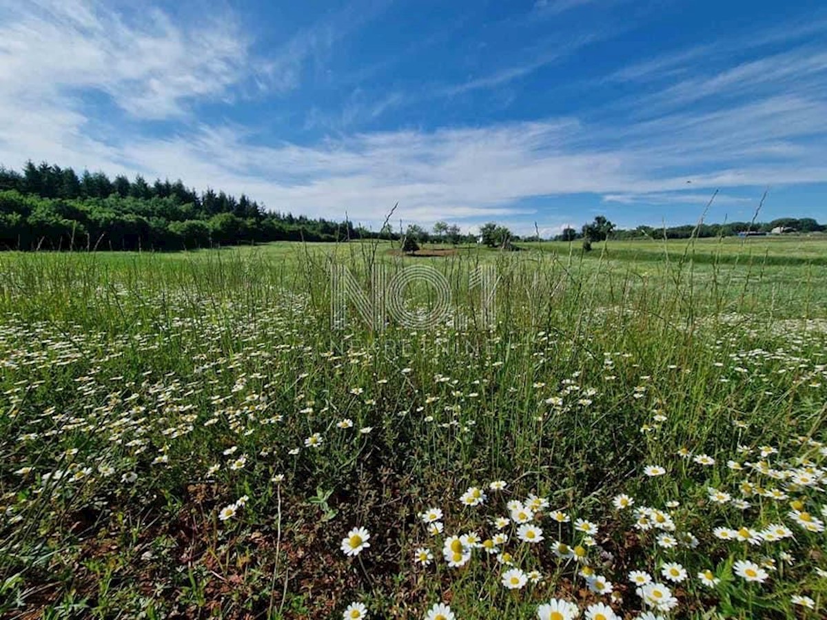 Land For sale - ISTARSKA VIŽINADA